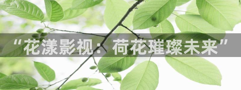 嫩草影院91：“花漾影视：荷花璀璨未来”