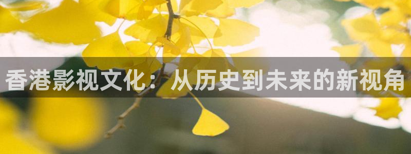 嫩草影院永久地址：香港影视文化：从历史到未来的新视角