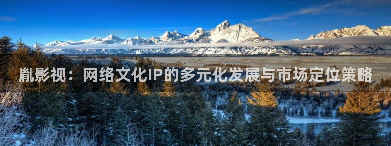 嫩草影院在线视频：胤影视：网络文化IP的多元化发展与市场定位策略