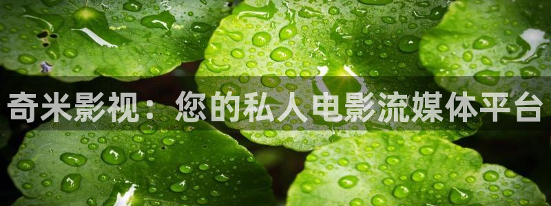 nc18嫩草成人影院：奇米影视：您的私人电影流媒体平台