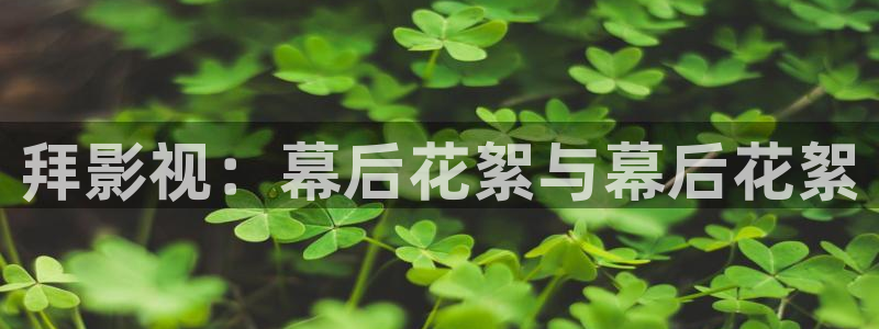 嫩草影院入口网站：拜影视：幕后花絮与幕后花絮