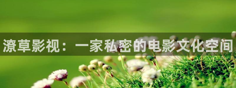 精品嫩草影院在线观看：潦草影视：一家私密的电影文化空间